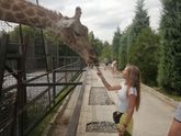 Поделюсь сначала впечатлением о поездке в Крым и парк Тайган