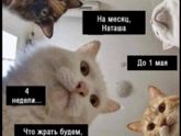В это непростое время, очень актуально)))