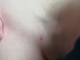 Вчера приехали на дачу,