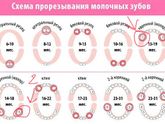 Зубная тема