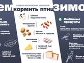 Подкармливаете ли птиц зимой?