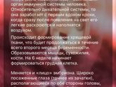 Началась 6 неделя❤️