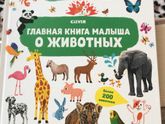 Девчат,какие у ваших деток