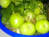 Соленья бочковые у себя дома. Вкусные, как на продажу!