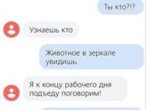 Девчата, привет, можно ли