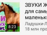Массаж шилопопых 😁
