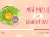 Третий триместр ?
