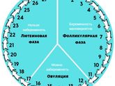 Как считать дпо? Поздняя О и М у кого как?