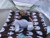 У пупса появилась нова
