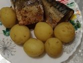Летний эконом