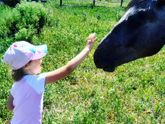 У меня сегодня день добровольных забот