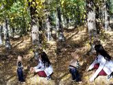 Осень 🍂🍁