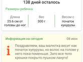 Как быстро время летит