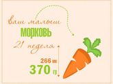 2️⃣1️⃣ неделя 💋💋💋.