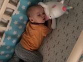 3 дня без соски.