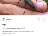Кто знает что это за тварь?