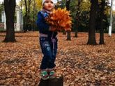 Осень🍁
