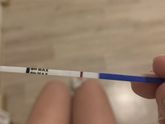 13 дпо предположительно