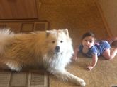 Большие приключения