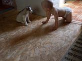 Вот опять я в