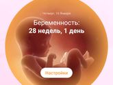 Нам сегодня 28 недель