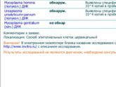 Что это ?