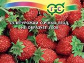 Садово-огородничье. Земляника.
