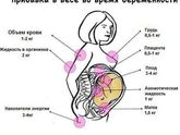 Посчитайте!