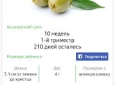Моим бусинкам 10 недель?