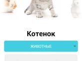 2 скрининг🙏🥰