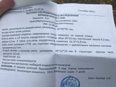 Сходила на узи.