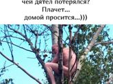 Спокойной ночи, всем!