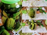 Соленые огурцы без кипятка и уксуса