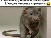 Разбавить обстановочку???