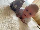 Решила устроить я ему