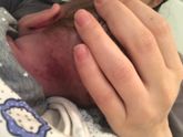Девочки подскажите
