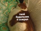 Фотография 2019-12-13 08:47:49