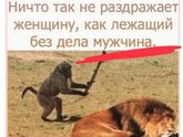 Как жизненно))
