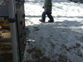 Наша прогулка в парке