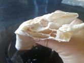 Доброе утро девочки отвес.