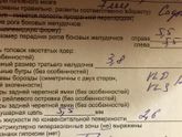Гидроцефалия наследственно-конституционного характера???