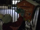 каток на крыше ТЦ