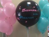 Мальчик или девочка?