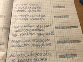 Есть кто шарит в схемах по русскому?