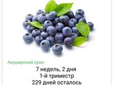 7 недель 2 дня.