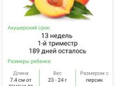 Вот и подходит к
