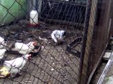 Всем большое спасибо за