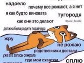 У меня вообще предвестников