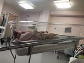 Анкета родов