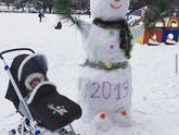 Санки-коляска Ростов